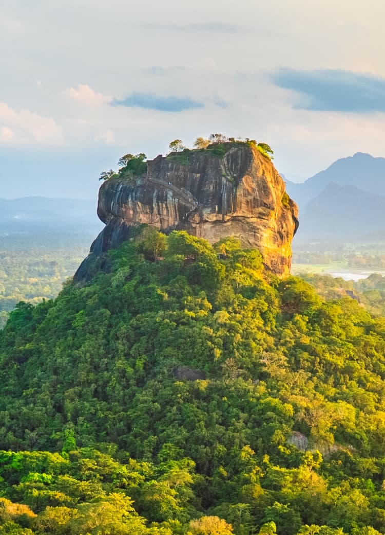 スリランカってどんな国？地理・自然・固有種まで旅前に知っておきたい基礎知識