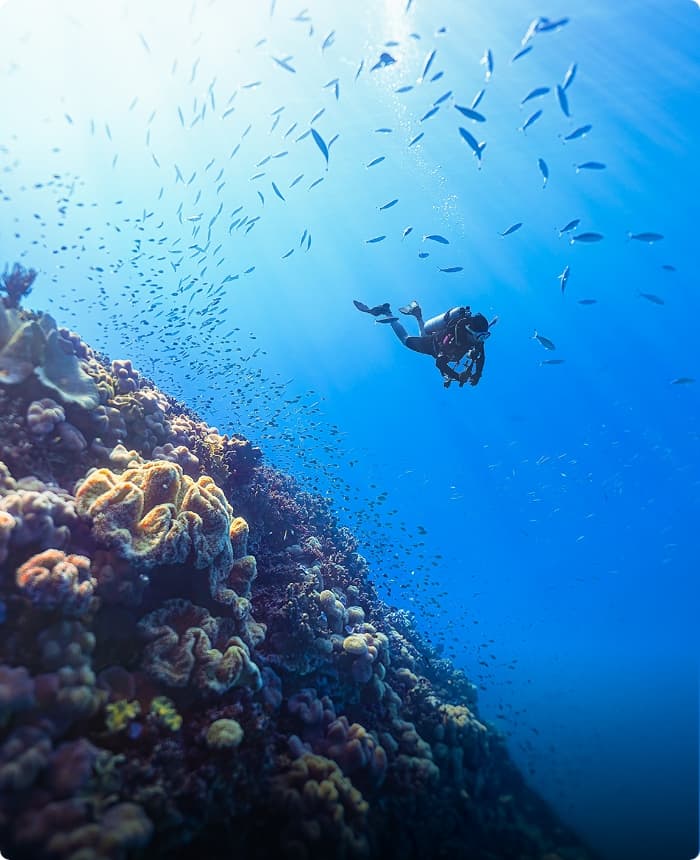 オーストラリア