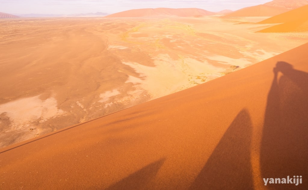 DUNE45からの眺め
