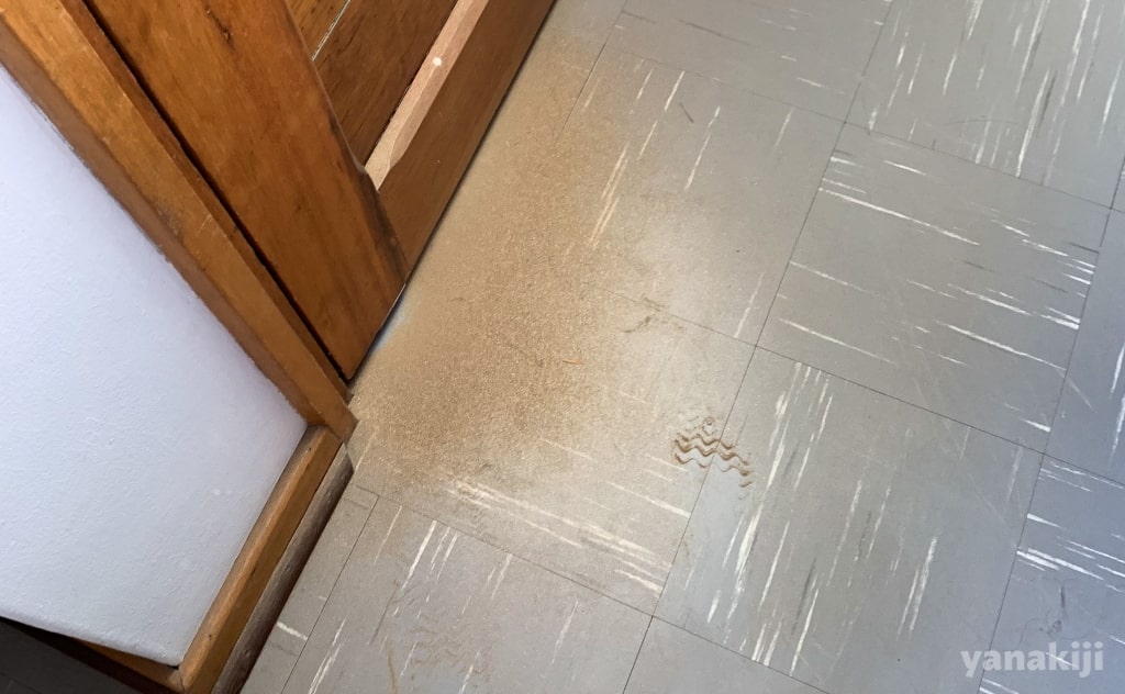 部屋に入ってくる砂