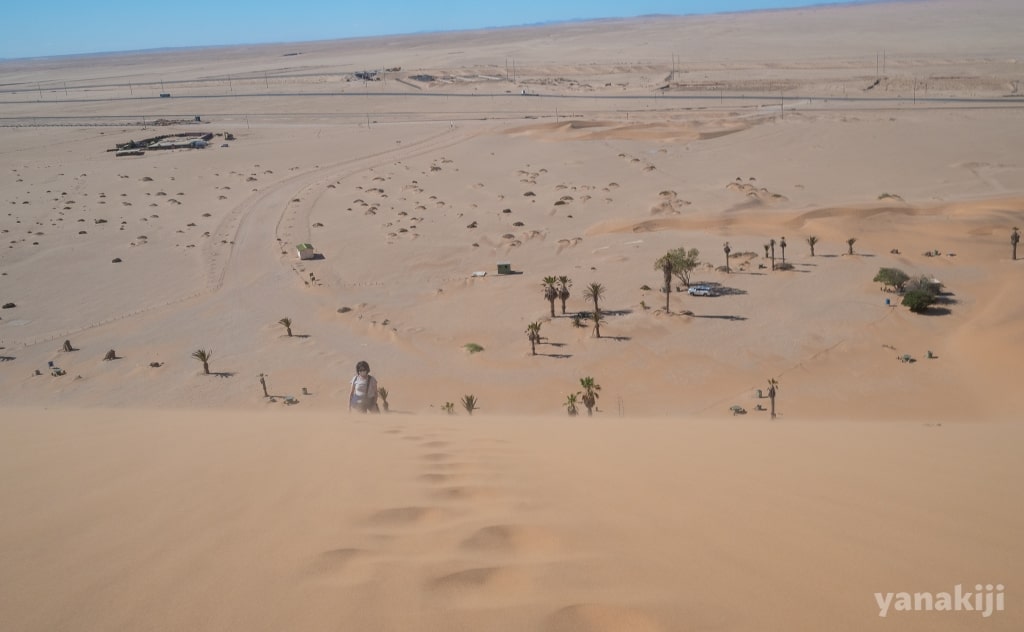 DUNE7からの眺め