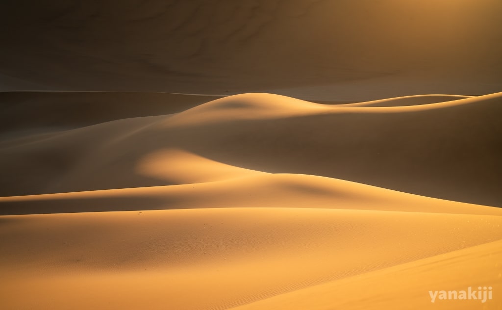 DUNE7のなめらかな世界