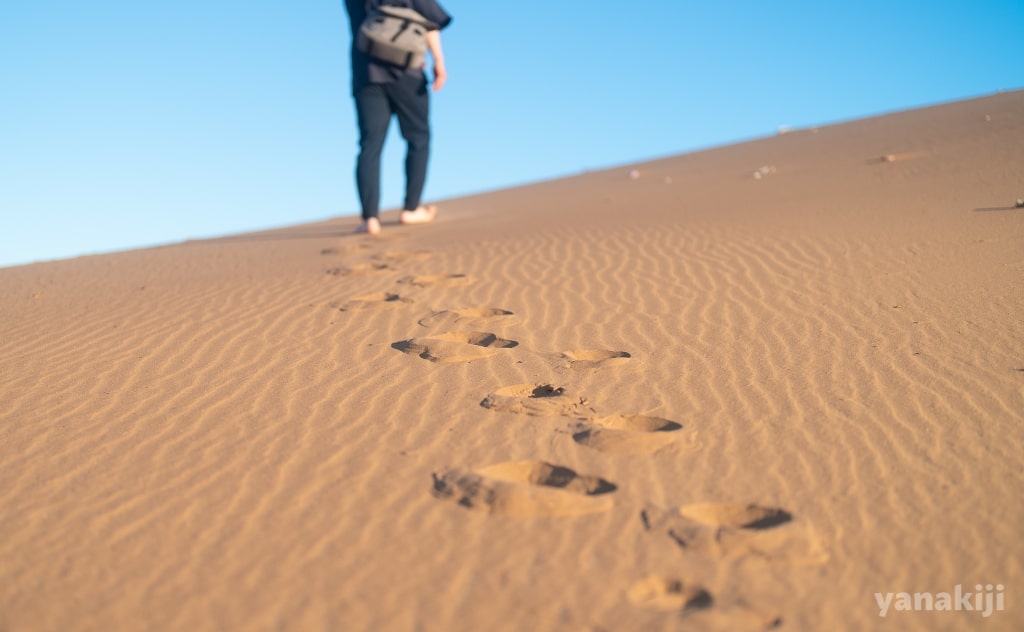DUNE7を登るきじー