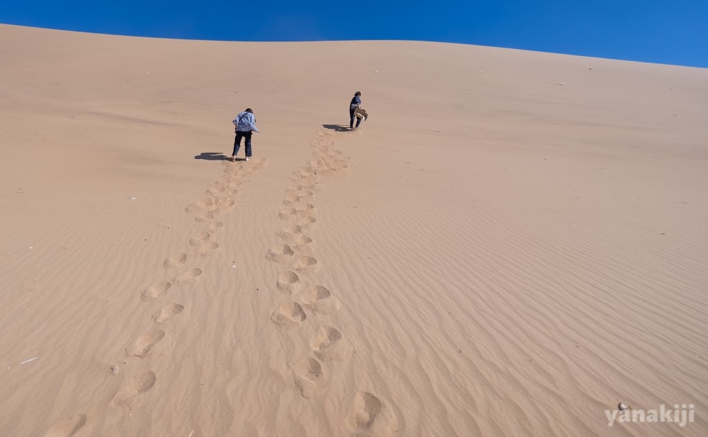 DUNE7を登るやなぎーときじー