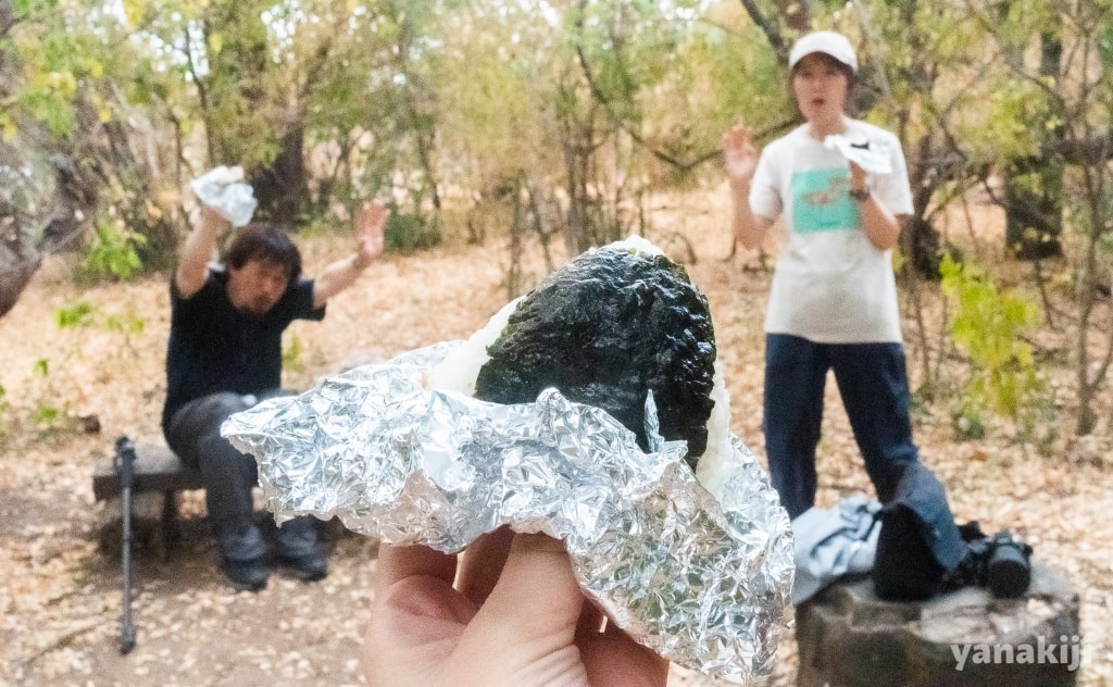 お昼の鮭おにぎり