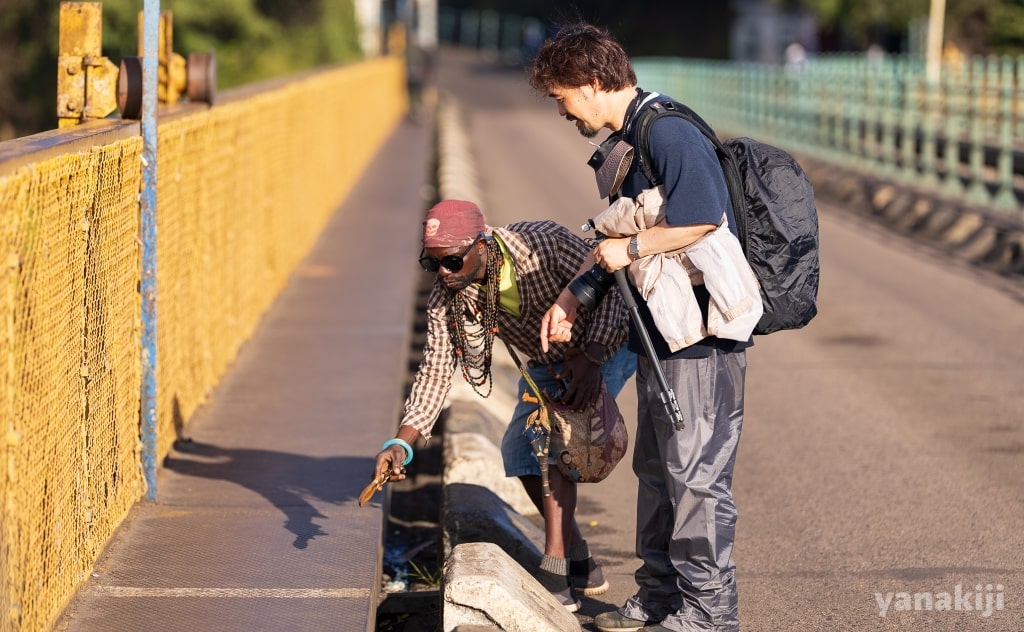 話しかけられるきじー