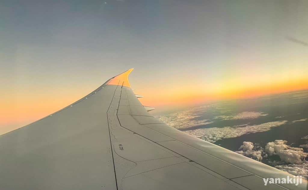 夕暮れの飛行機の羽-1