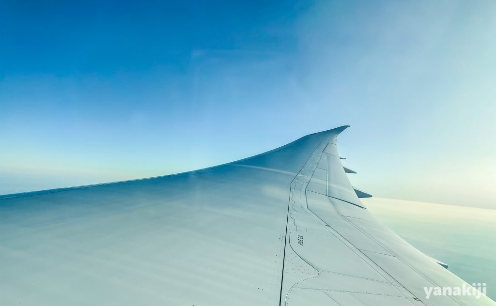 飛行機の羽