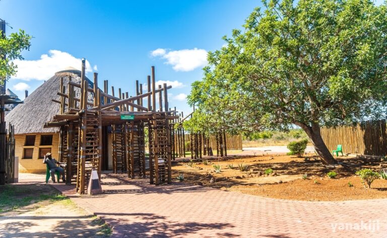 クルーガー国立公園で自家用車サファリを堪能!夕暮れ30分の動物ラッシュが凄かった 南アフリカ旅行記 yanakiji