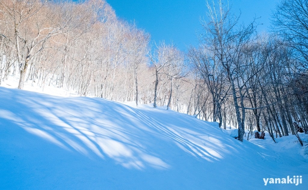 雪山の景色