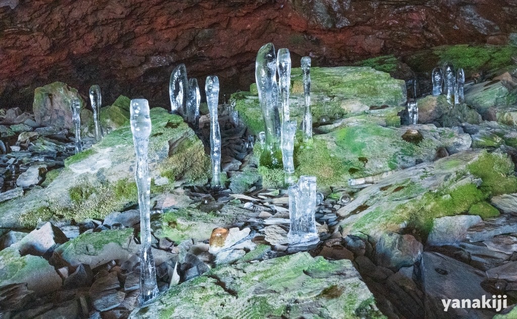 大幽洞の氷筍