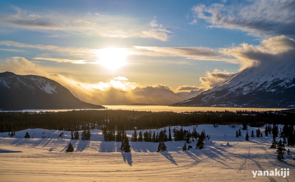 Carcross Desert
