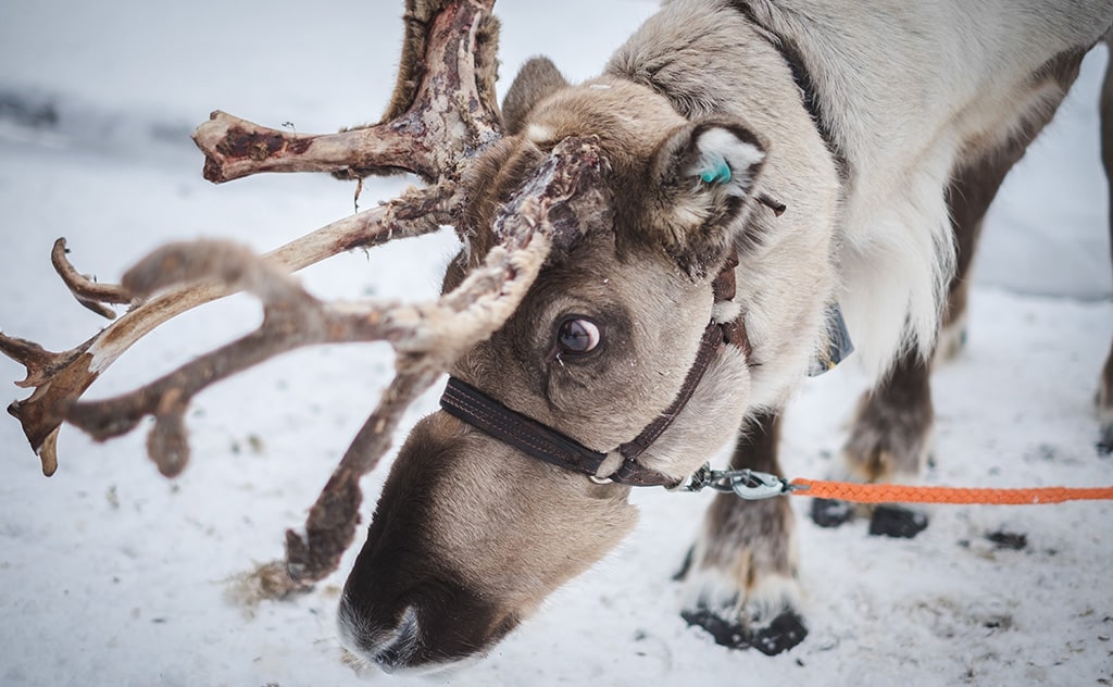 UnsplashのJérémy Stenuitが撮影した写真