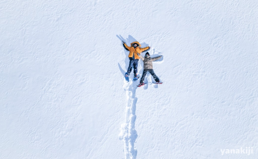 雪にダイブ-1