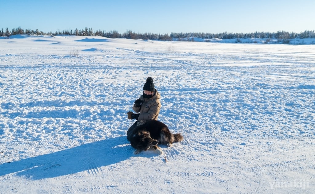 雪の中で犬と戯れる様子