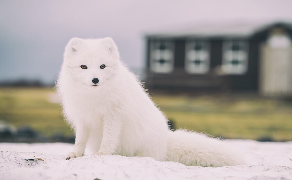 UnsplashのJonatan Pieが撮影した写真