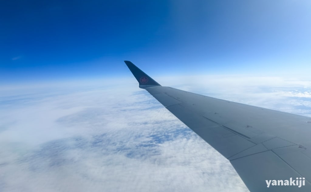 上空からの景色