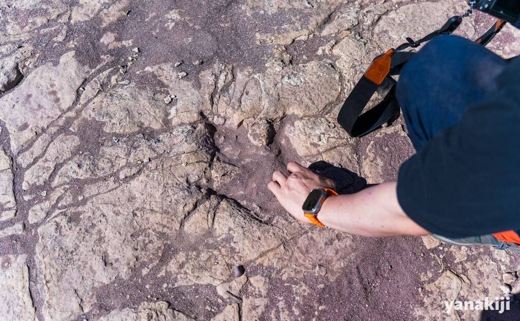 ウマハランタ鍾乳洞探索コース_恐竜の足跡