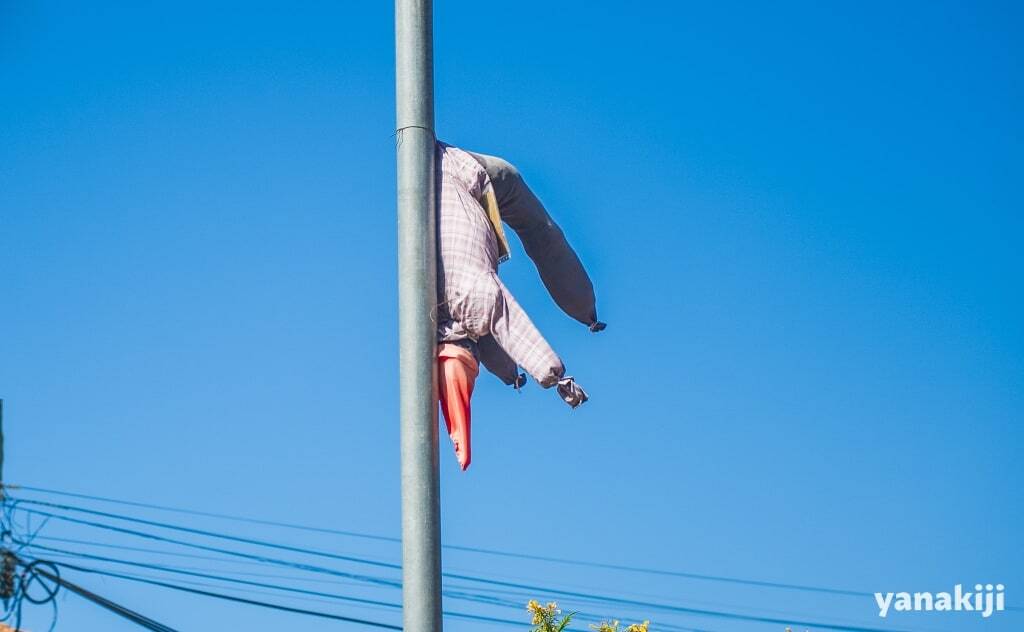 カカシ_折れている