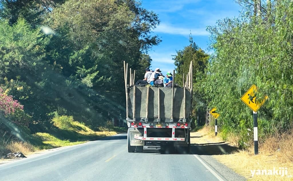 トラックの荷台に人が乗ってる