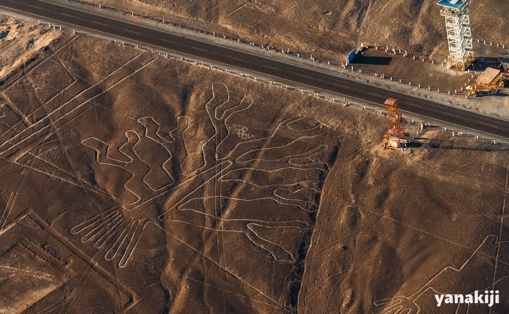 木の地上絵(手前展望台がマリア・ライヘが自費で建てた、奥が老朽化と保全のため新しく建てたもの)