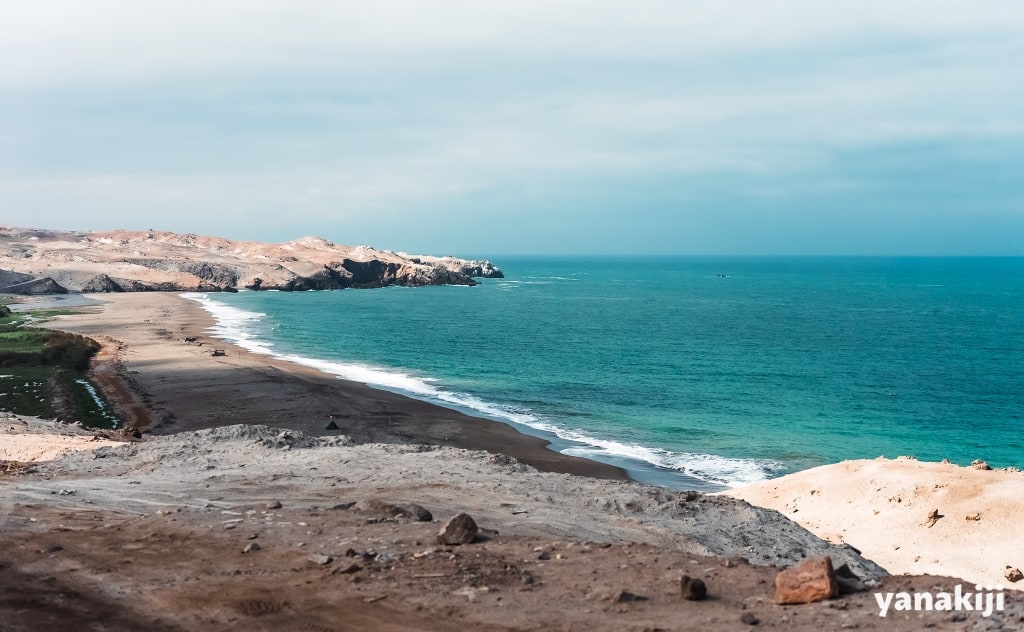 海
