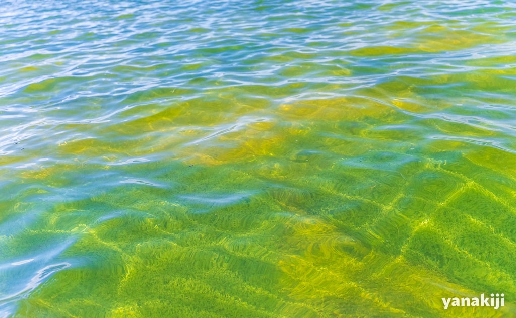 透き通る水