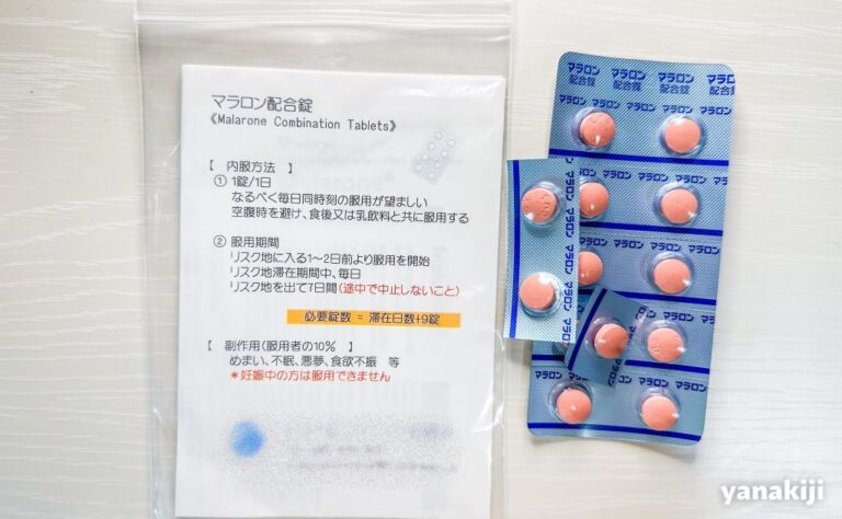 南米旅に予防接種は必須？黄熱病や高山病、マラリア、どんな薬が必要？ 南米アンデス旅行記 yanakiji