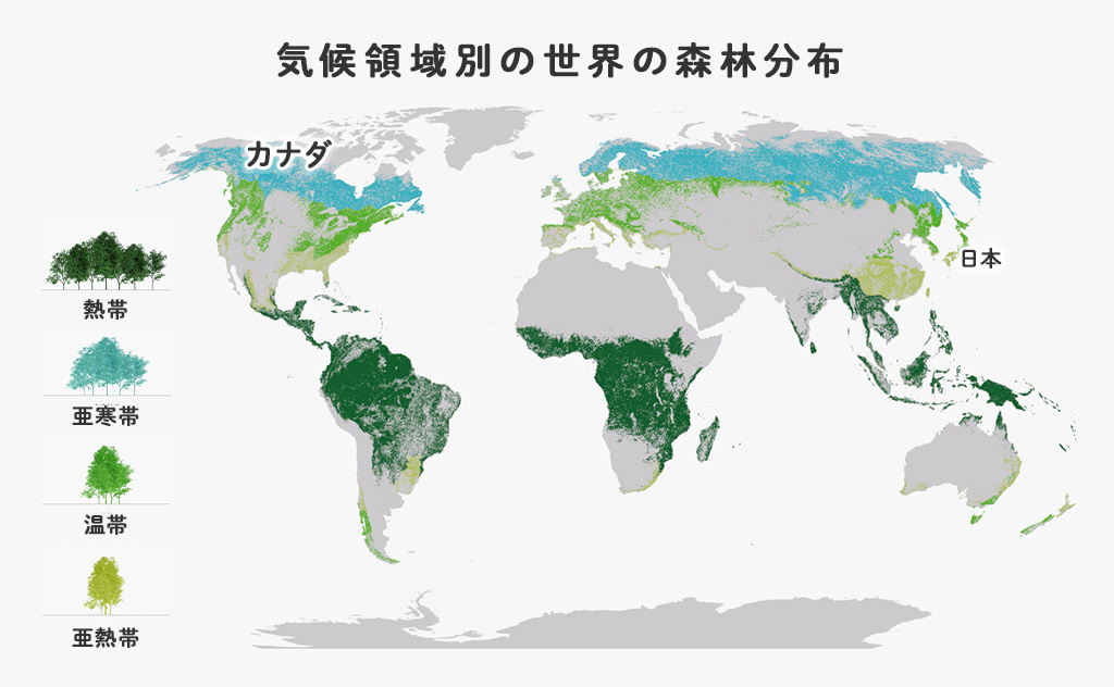 『Grobal Forest Resource Assessment 2020』より抜粋