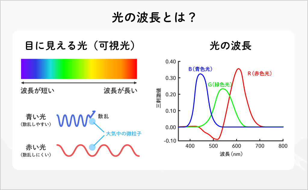 光の波長とは-1