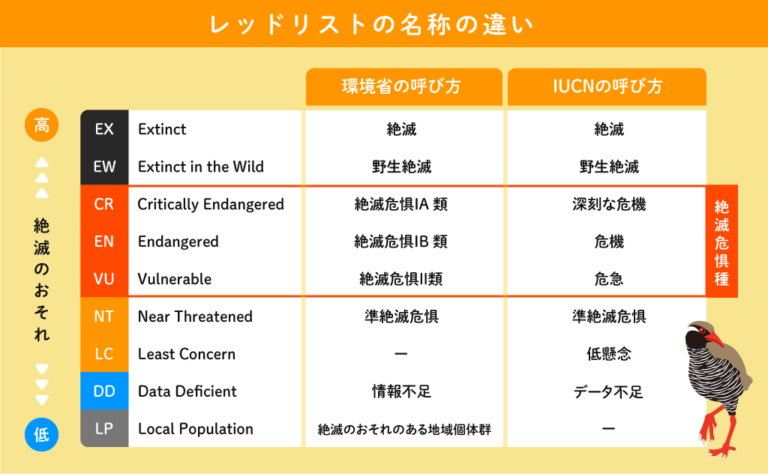 絶滅危惧種は誰がどうやって認定してる?日本の絶滅動物一覧と原因を解説 | 南米アンデス旅行記 | yanakiji