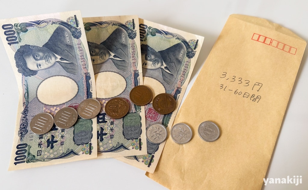 ビザ申請用の現金