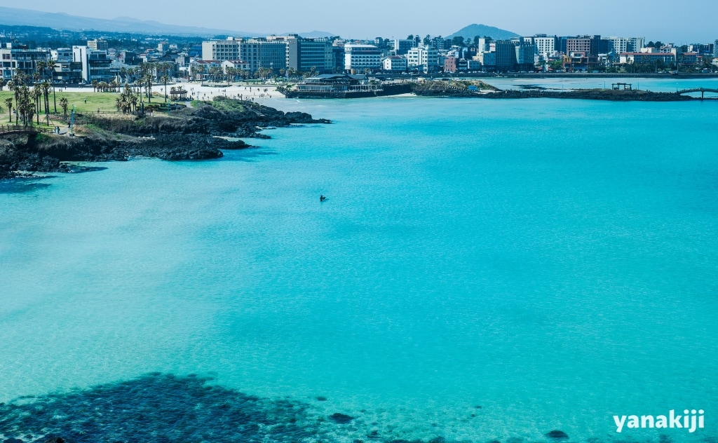 菜の花と海_海の色