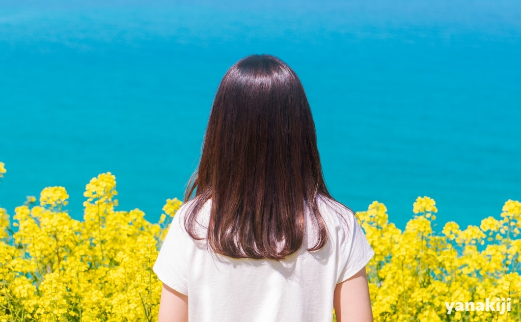 菜の花と海_003
