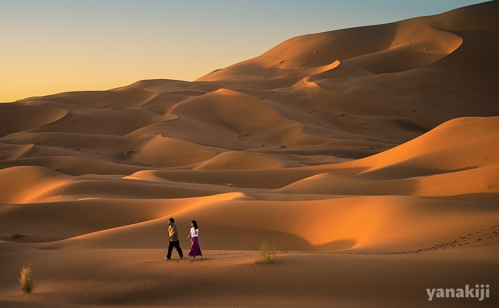 世界最大の砂漠はサハラじゃない！？知って驚く砂漠の定義