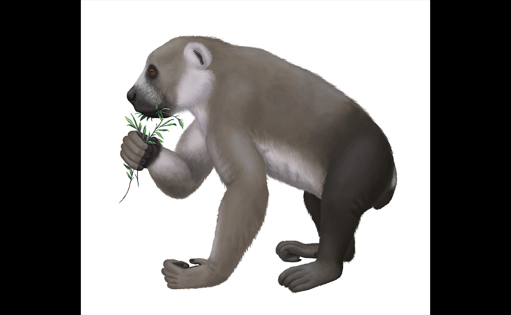 Wikimedia Commons参照