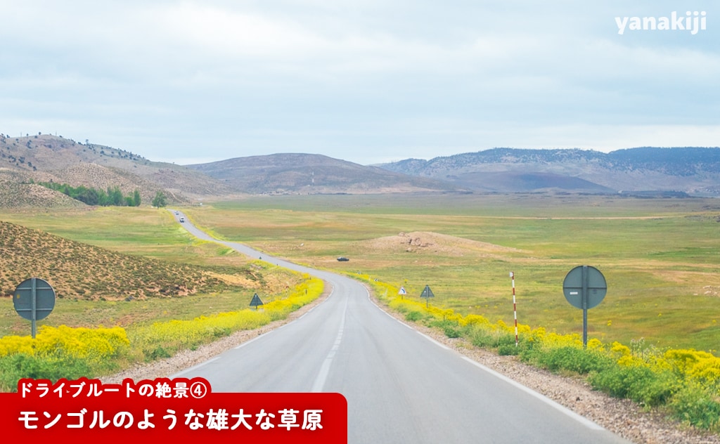 モンゴルのような雄大な草原