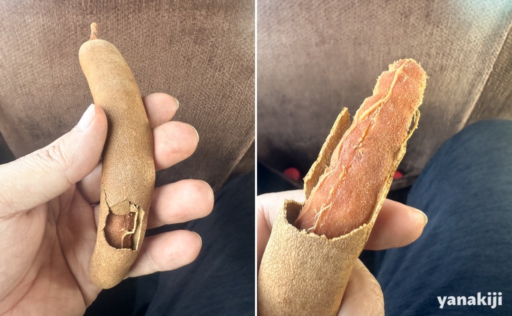 タマリンド