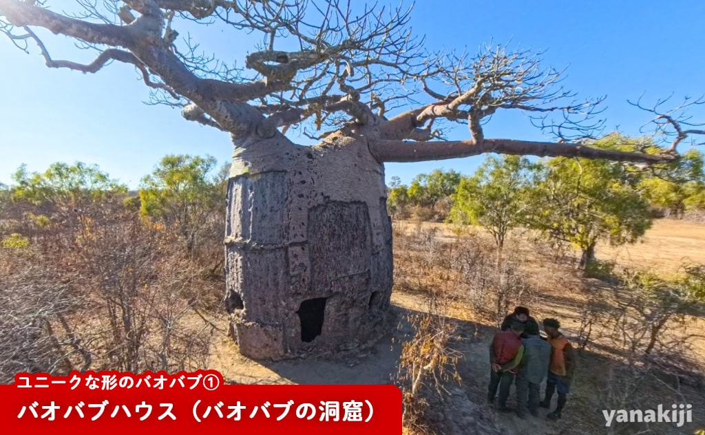 バオバブハウス(バオバブの洞窟)