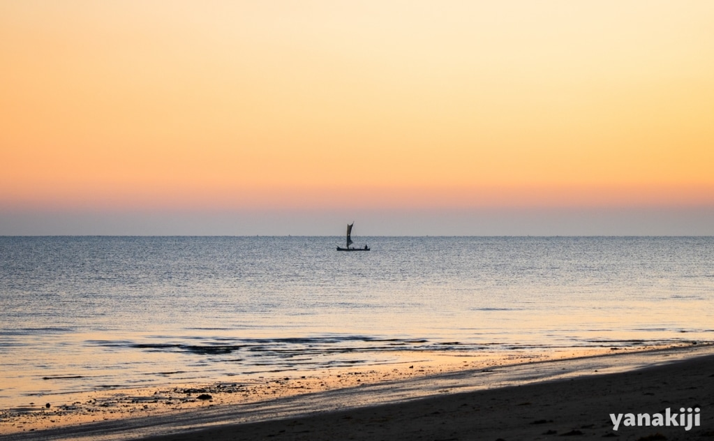 朝日に包まれた海