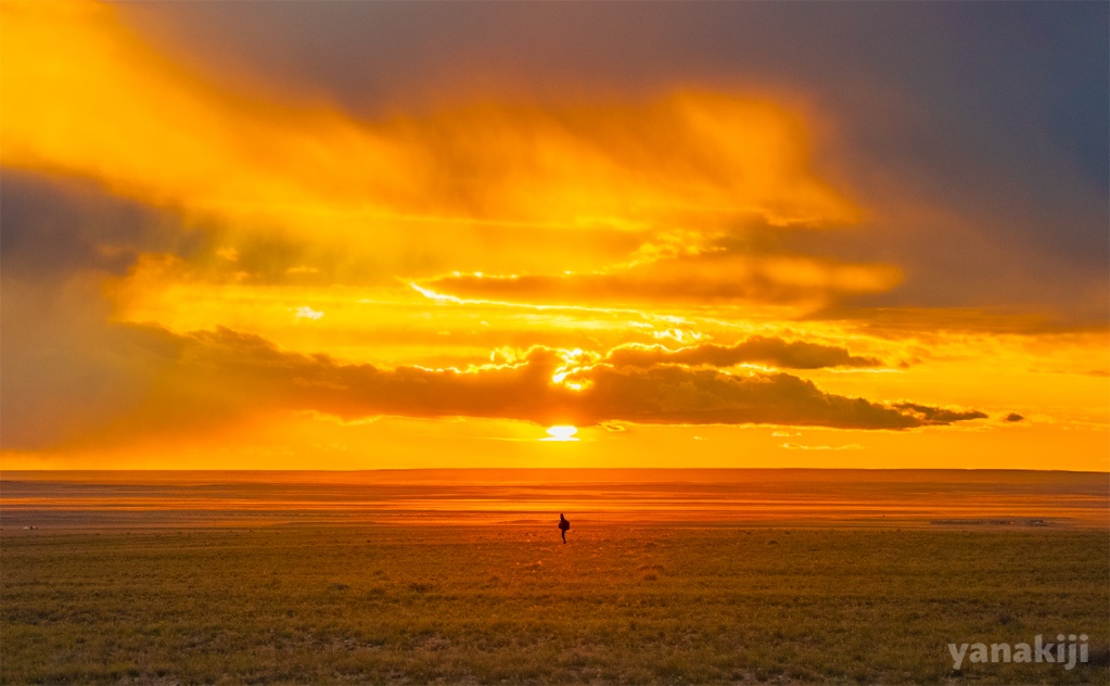 モンゴルの夕日