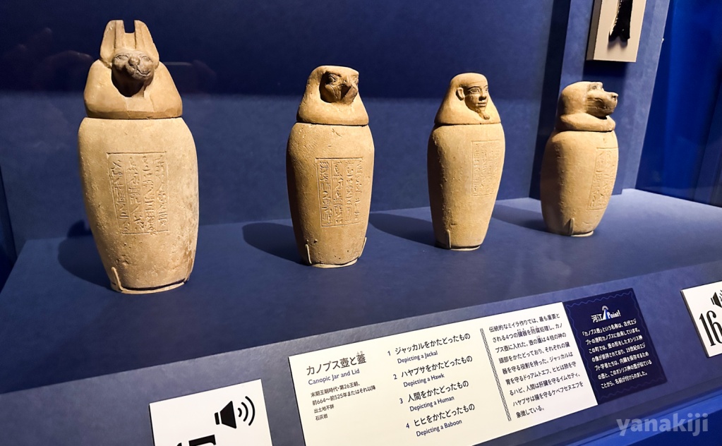 作品のキャプションに河江先生のコメント
