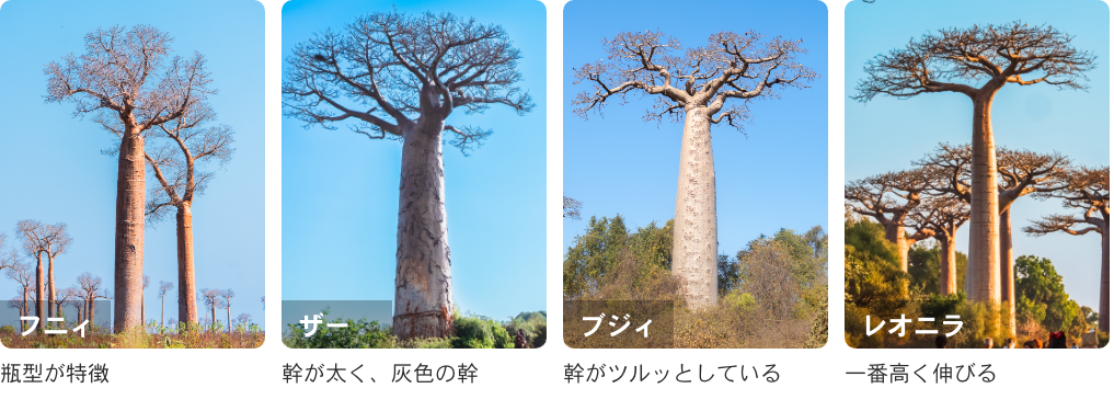 リピートグリッド 1