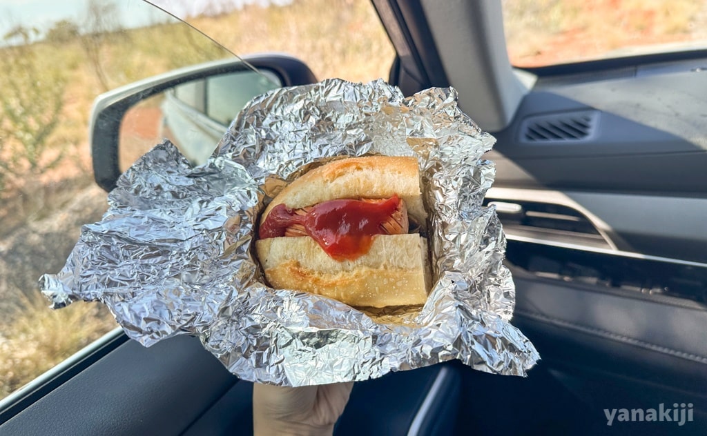 車内で食べる、手作りホットドッグ