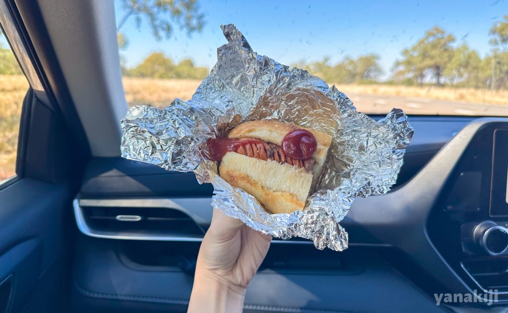 車内で自作のホットドッグを食べる