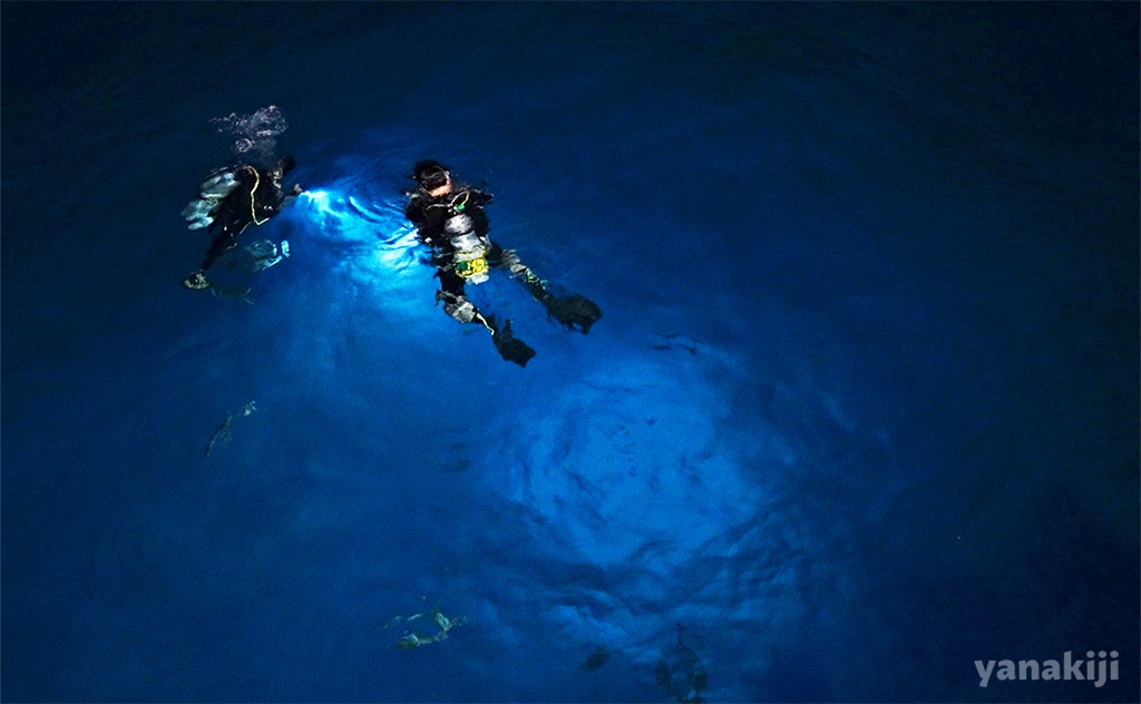 グレートバリアリーフ3日目！ナイトロックスを使っても頭が痛い…