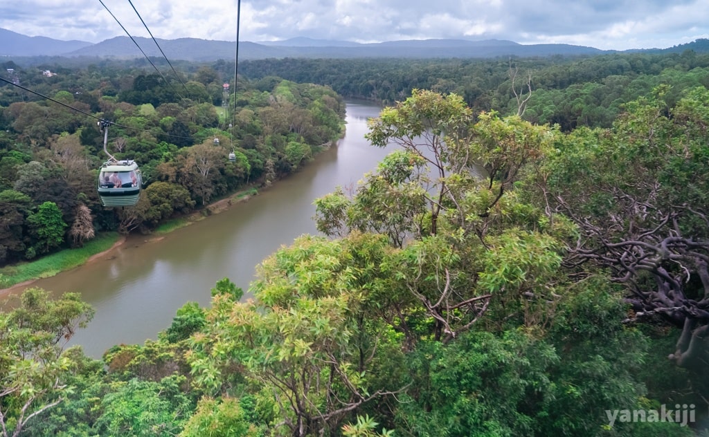 ケアンズ初日！レインフォレステーションとスカイレールを満喫