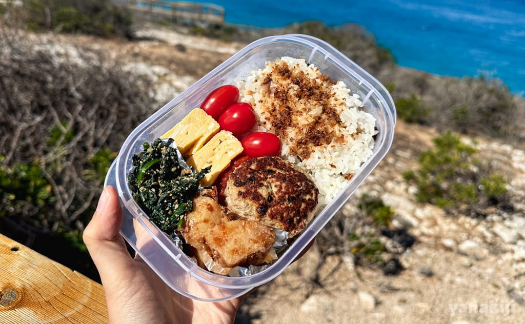 オーストラリア西岸ロードトリップ！海岸の断崖で手作り弁当に悶える