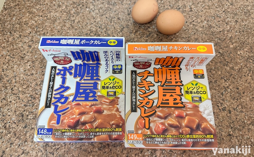ポークカレーとチキンカレー