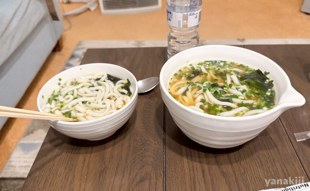 山盛りうどん